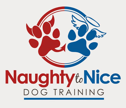 Naughty to Nice Dog Training