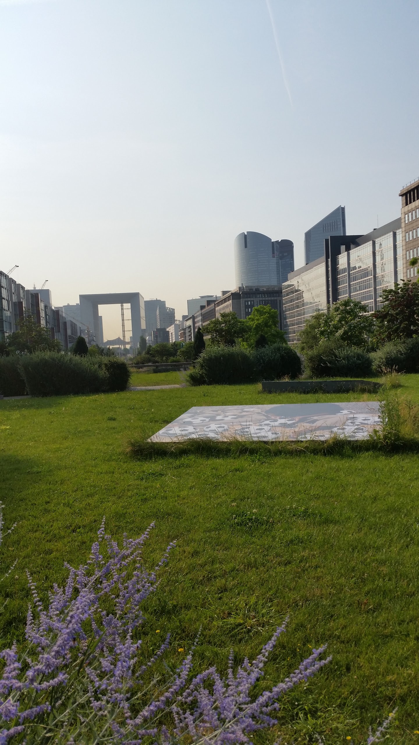 Photo n° 1 de l'avis de Zitoun.u fait le 27/06/2017 à 12:51