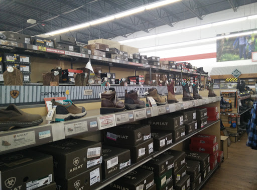 Home Improvement Store «Tractor Supply Co.», reviews and photos, 8171 Lapeer Rd, Davison, MI 48423, USA