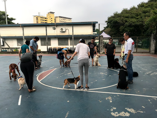 Puppycom Ampang Training School