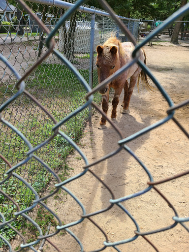 Long Island Zoological Society