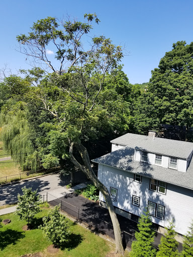 Park «Griggs Park», reviews and photos, 33 Griggs Rd, Brookline, MA 02446, USA