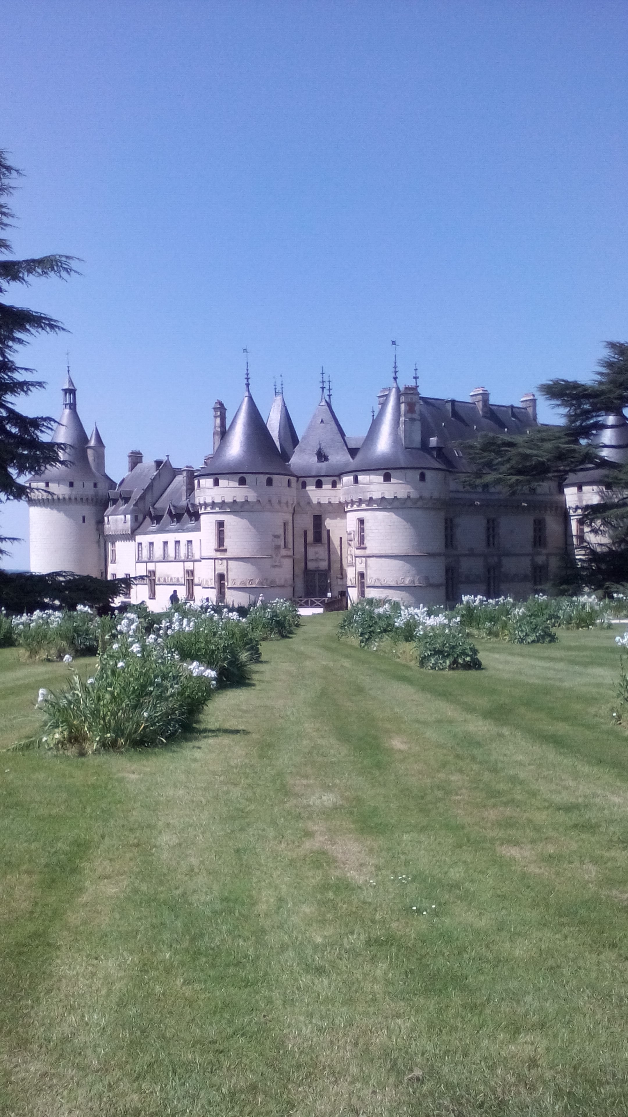 Photo n° 7 de l'avis de Nicolas.e fait le 08/05/2018 à 20:48
