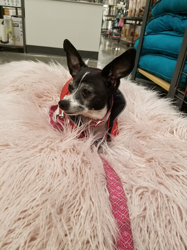 Department Store «Stein Mart», reviews and photos, 2810 Ygnacio Valley Rd, Walnut Creek, CA 94598, USA