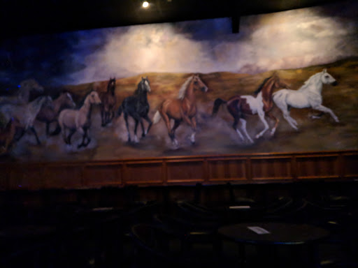 Night Club «Mustang Lounge Night Club», reviews and photos, 3610 E Expy 83, Weslaco, TX 78596, USA