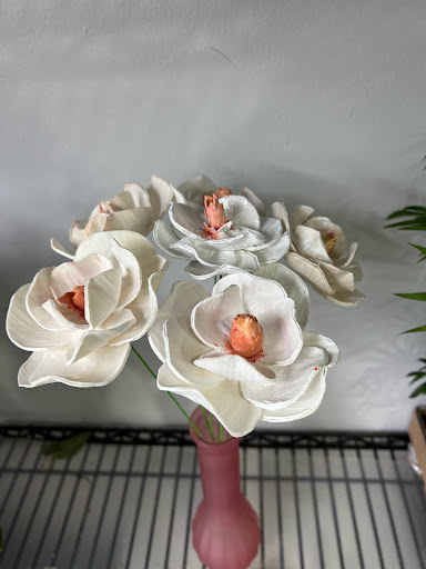 Florist «Agape Florist», reviews and photos, 261 Ridge McIntire Rd, Charlottesville, VA 22903, USA