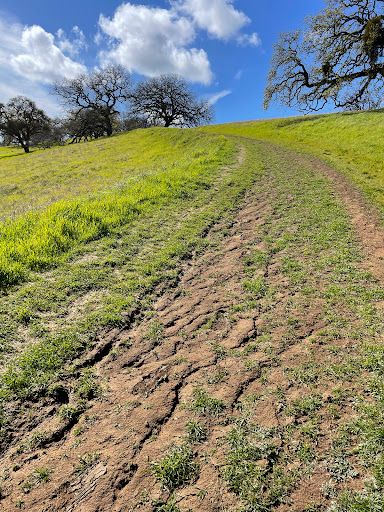 John Muir National Historic Site image