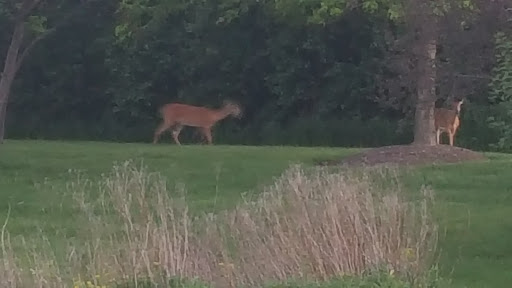 Park «Heritage Oaks Park», reviews and photos, 310 N Fairfield Rd, Hawthorn Woods, IL 60047, USA