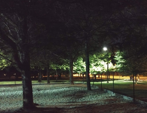 Dog Park «Norwood Park Dog Friendly Area», reviews and photos, 5850 N Avondale Ave, Chicago, IL 60631, USA