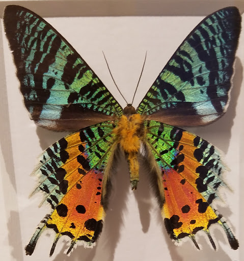 Jeweler «TWIST», reviews and photos, 30 NW 23rd Pl, Portland, OR 97210, USA