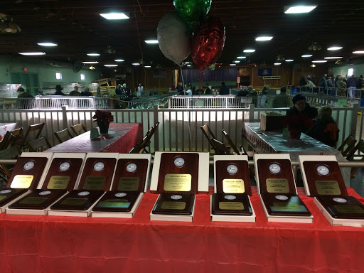 Park «Warsaw Park», reviews and photos, 119 Pulaski Hwy, Ansonia, CT 06401, USA