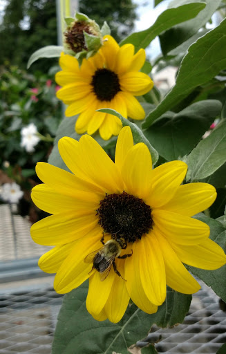 Home Improvement Store «The Home Depot», reviews and photos, 2406 Lincoln Way E, Massillon, OH 44646, USA