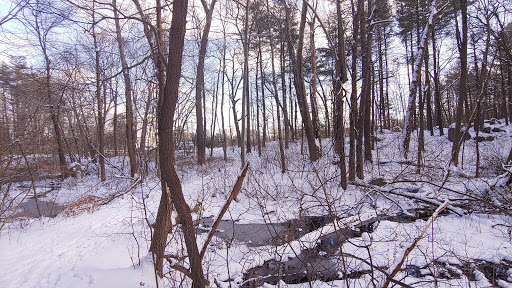 State Park «Wilson Mountain Reservation», reviews and photos, 384 Common St, Dedham, MA 02026, USA