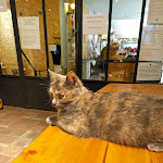 Photo n° 9 de l'avis de LINDA. fait le 08/01/2023 à 22:39 pour ronron et gourmandises à Orthez