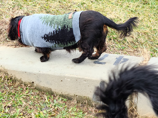 Tourist Attraction «Loop Island Wetlands», reviews and photos, 2200 E Main St, New Albany, IN 47150, USA