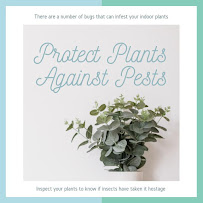 Upstate Pest Management, LLC - Photo 4 - Car repair in , Spartanburg