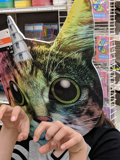 Craft Store «Michaels», reviews and photos, 100-B Independent Way, Brewster, NY 10509, USA