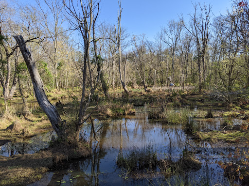 Nature Preserve «Lake Conestee Nature Park», reviews and photos, 601 Fork Shoals Rd, Greenville, SC 29605, USA