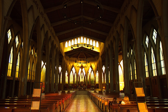 Opiniones de Catedral San Mateo Apóstol en Osorno - Arquitecto