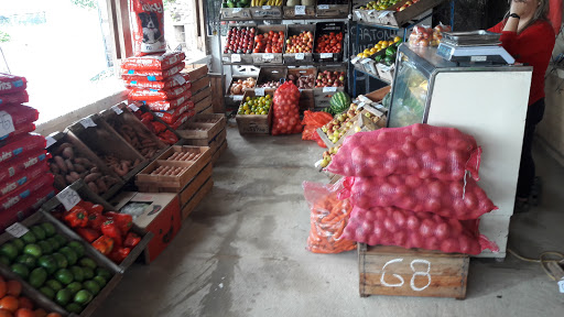 AF1QipNvEz9UkvgI7IClZyeu1cFFt2REFz kbmPK0hds