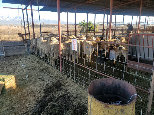 Meat Wholesaler «Lizze Custom Processing», reviews and photos, 7310 Pine Ave, Chino, CA 91708, USA