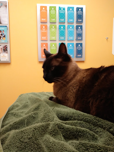 PetSmart image