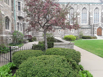 PERFECTLY GREEN LANDSCAPING & INTERIORS INC. - Photo 7 - Car repair in Westland, MI, Dearborn