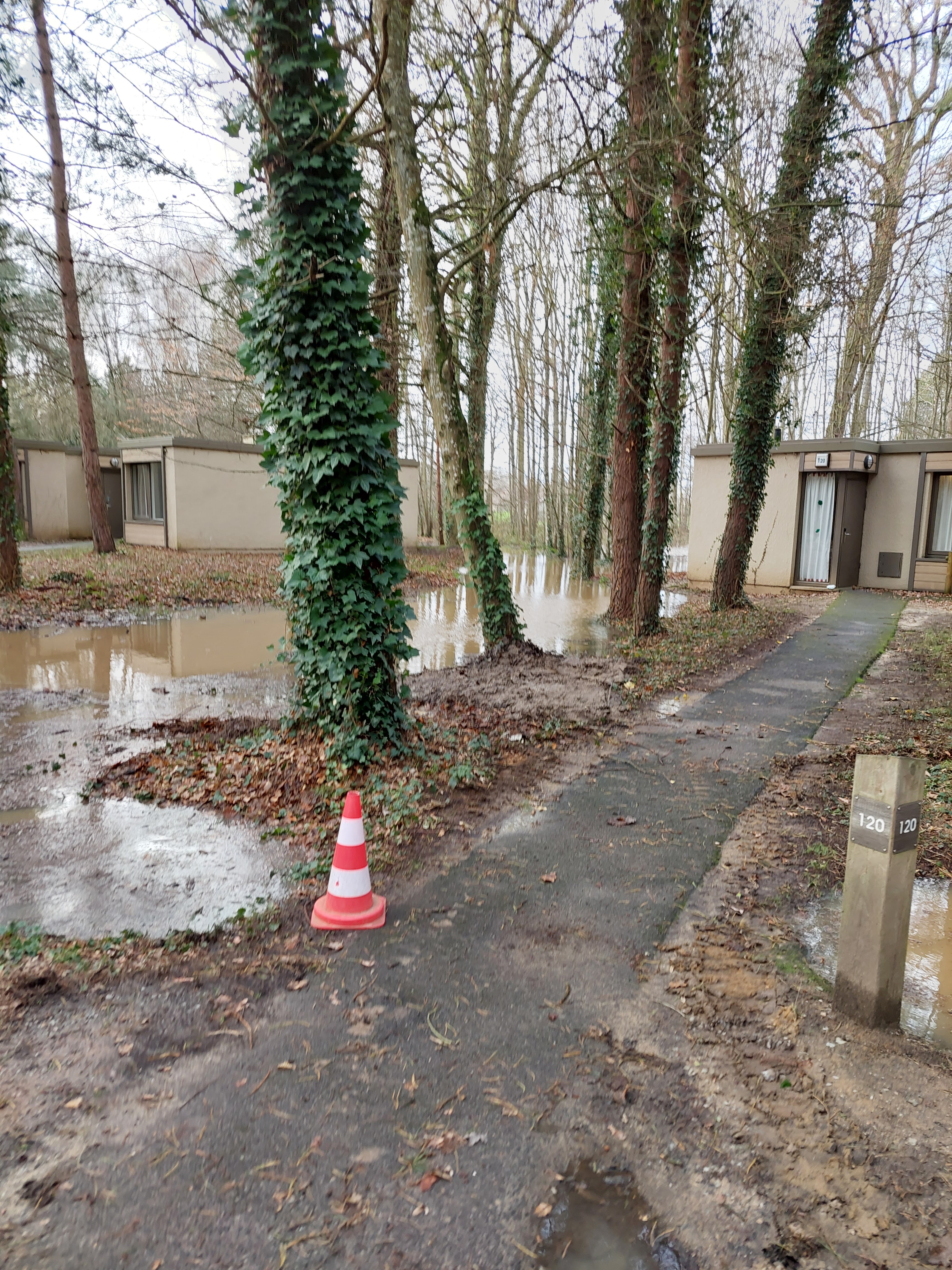 Photo n° 4 de l'avis de patrice.a fait le 03/02/2024 à 13:59