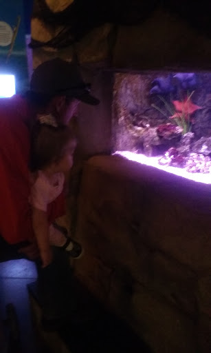 Aquarium «Loveland Living Planet Aquarium», reviews and photos, 12033 Lone Peak Pkwy, Draper, UT 84020, USA