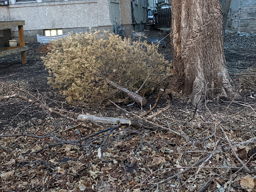 Park «Van Cleve Park Rink», reviews and photos, 901 15th Ave SE, Minneapolis, MN 55414, USA