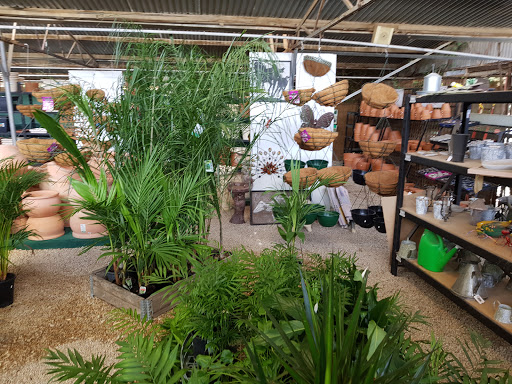 Public nurseries in Adelaide