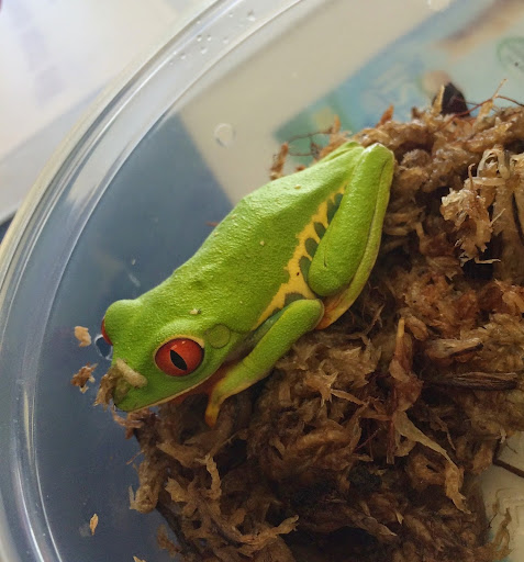 Pet Store «The Pet Place», reviews and photos, 240 Shadowline Dr, Boone, NC 28607, USA