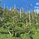Photo n°1 de l'avis de Wolfgang.a fait le 09/10/2023 à 20:16 sur le  Hotel Lamm à Naturns