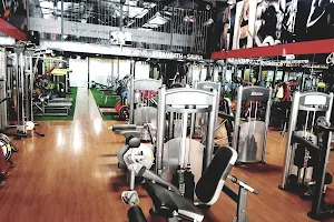 Olympic Gym and Fitness Club image