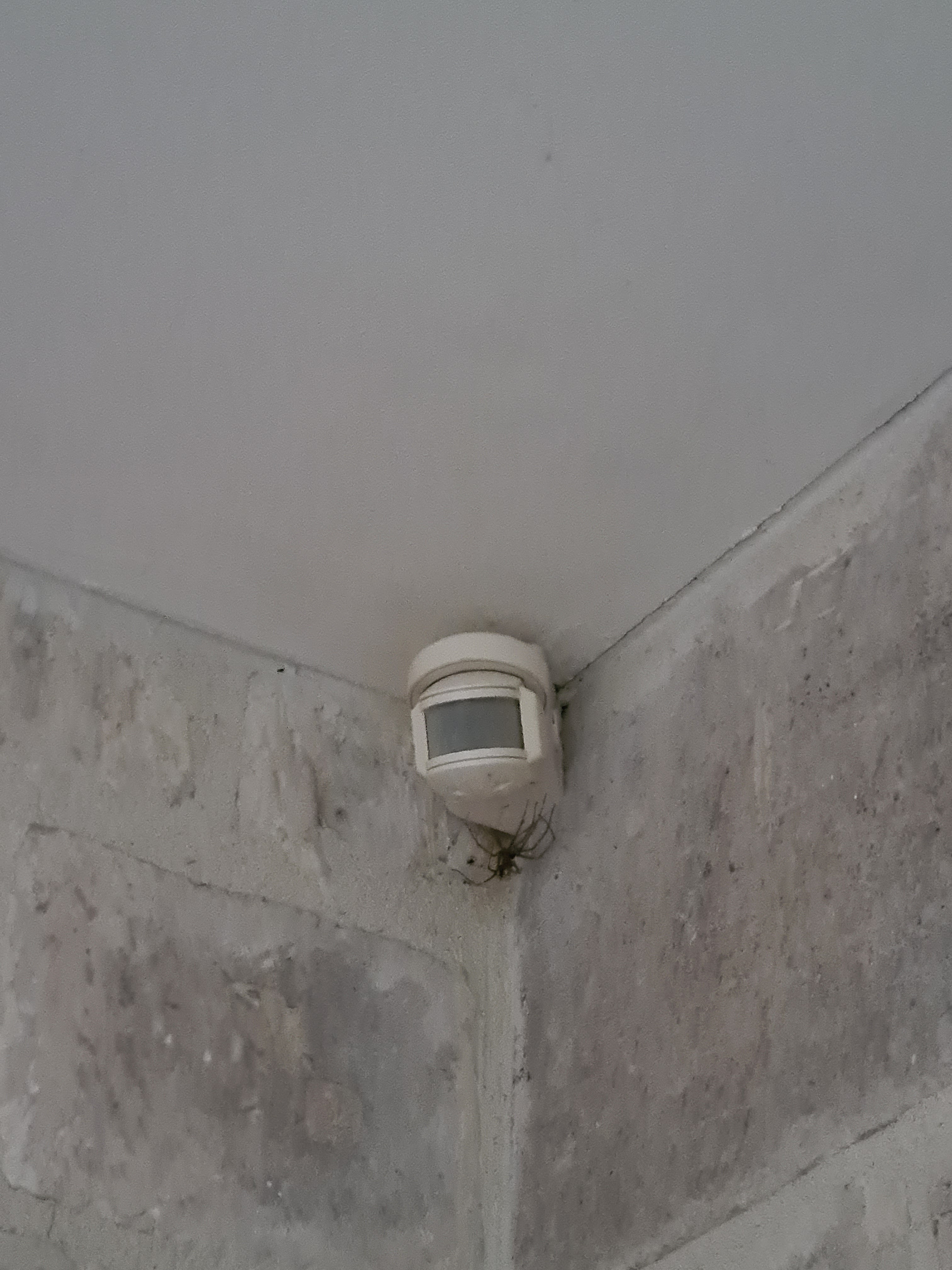 Photo n° 3 de l'avis de Philippe. fait le 30/06/2020 à 12:49