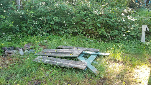 Campground «Hard Rain Cafe», reviews and photos, 5763 Upper Hoh Rd, Forks, WA 98331, USA