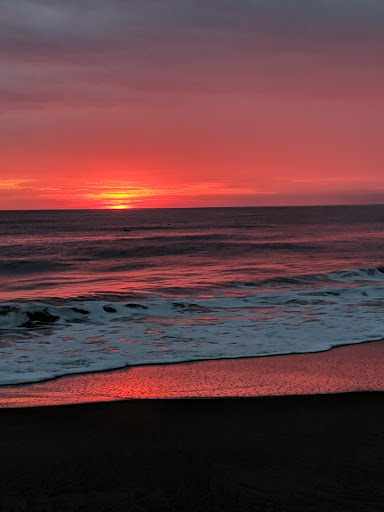 Grocery Store «Sandbridge Seaside Market», reviews and photos, 209 Sandbridge Rd, Virginia Beach, VA 23456, USA