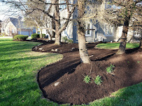 Total Grounds Care - Photo 3 - Car repair in , New Haven