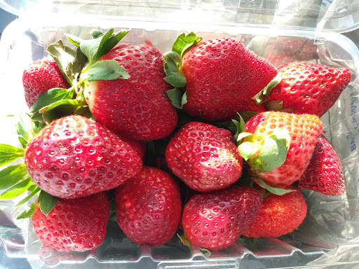 Supermarket «ALDI», reviews and photos, 4897 Sun City Center Blvd, Sun City Center, FL 33573, USA