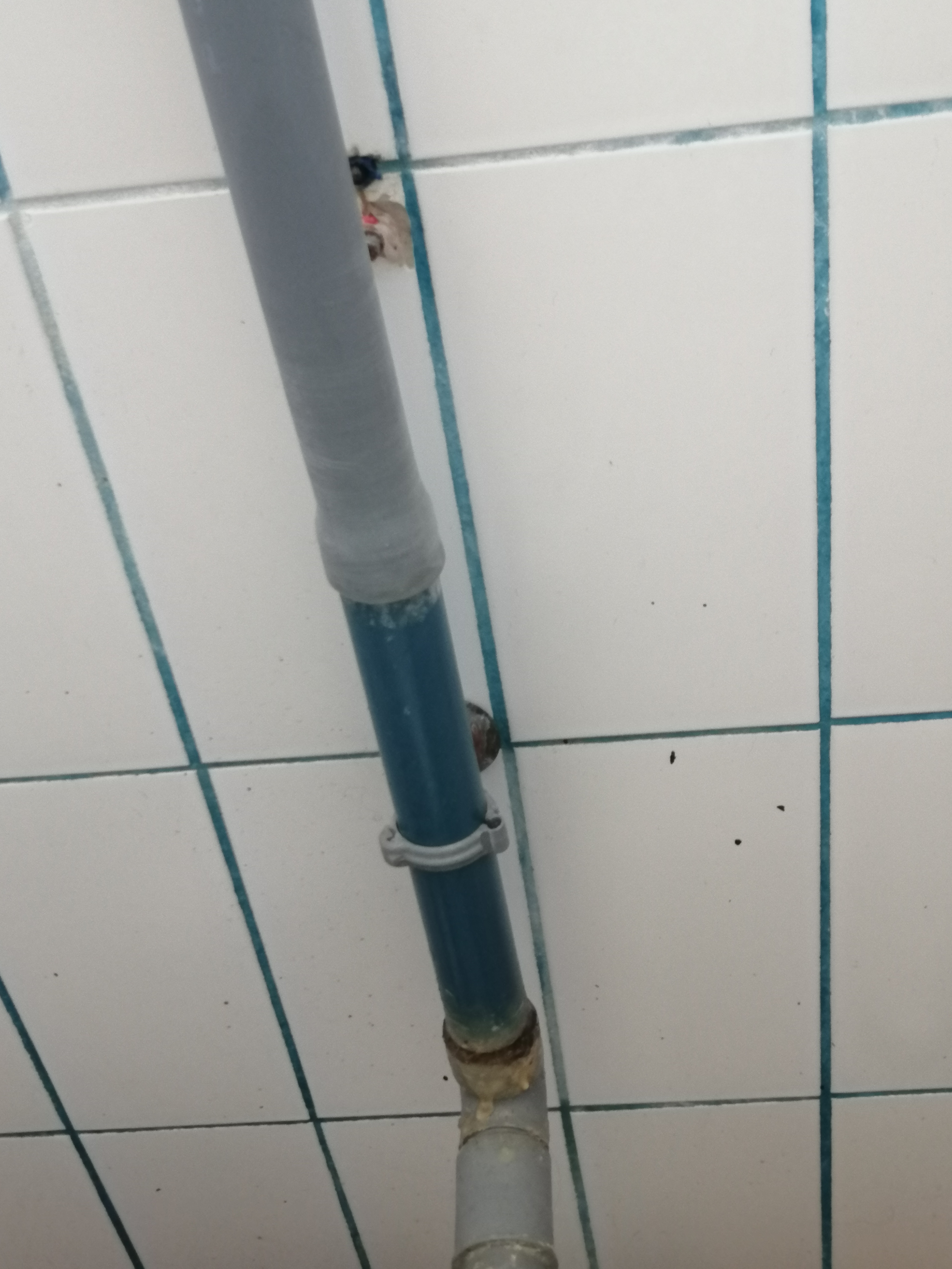Photo n° 3 de l'avis de RCVJD. fait le 21/08/2023 à 10:11