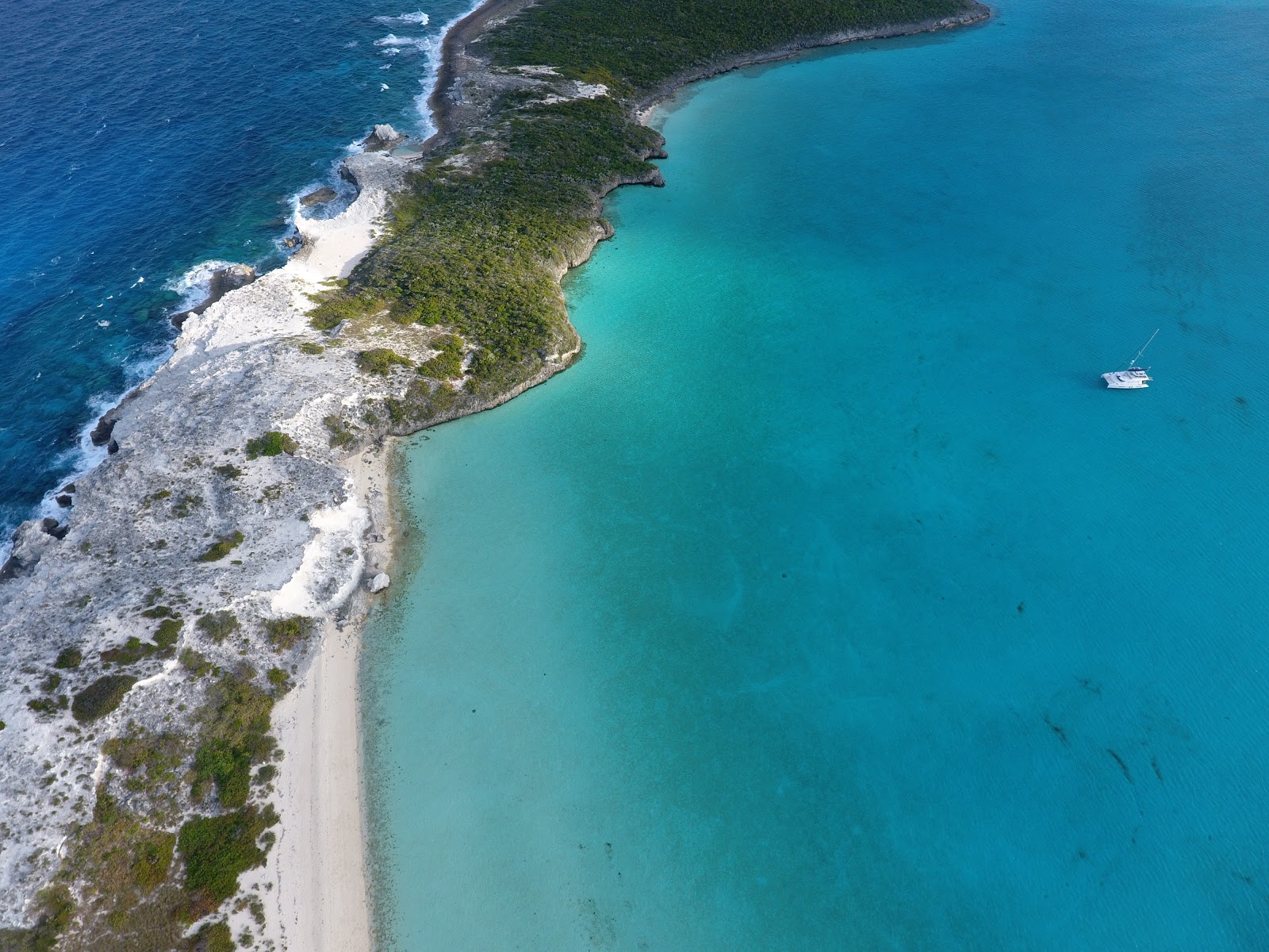Iguana beach的照片 位于自然区域