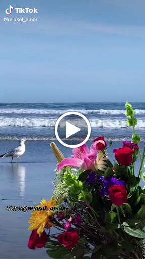 Golf Club «Miami Springs Golf & Country Club», reviews and photos, 650 Curtiss Pkwy, Miami Springs, FL 33166, USA