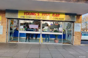 Youngs Fish Bar, Basingstoke (No Delivery Currently) image