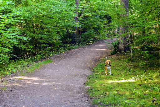 Östra Järvafältets naturreservat