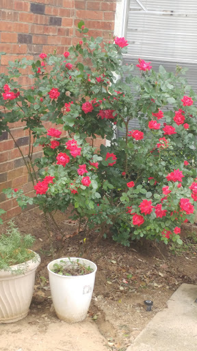 Home Improvement Store «The Home Depot», reviews and photos, 6501 NE Loop 820, Richland Hills, TX 76180, USA