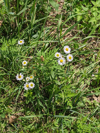 Nature Preserve «Rock Run Preserve - Paul V. Nichols Access», reviews and photos, Essington Rd, Joliet, IL 60435, USA