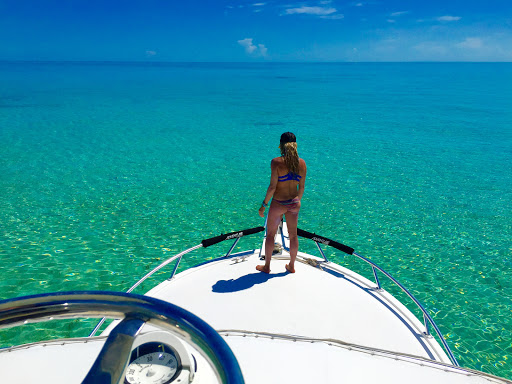 Sporting Goods Store «Adventure Sports», reviews and photos, 2750 SW 26th Ave, Miami, FL 33133, USA