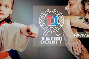 Impact Martial Arts - Team Dewitt image