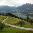 Alpen - Fledermaus