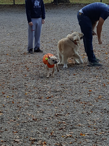 Dog Park «South Boston Bark Park», reviews and photos, 1280 Columbia Rd, Boston, MA 02127, USA